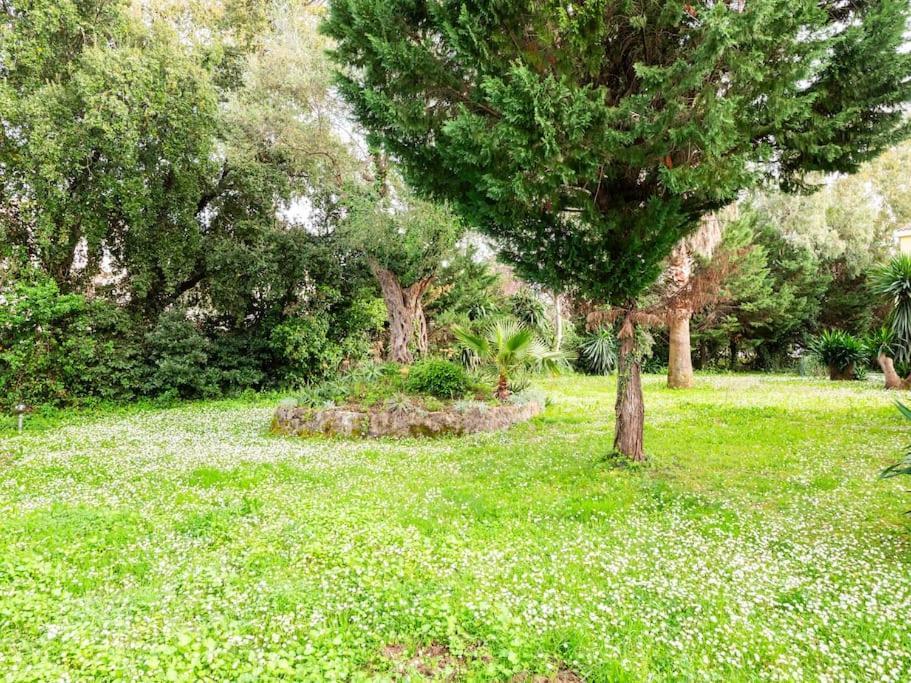 Corfiot Maisonette With Shared Pool - Govino Bay Apartment *
